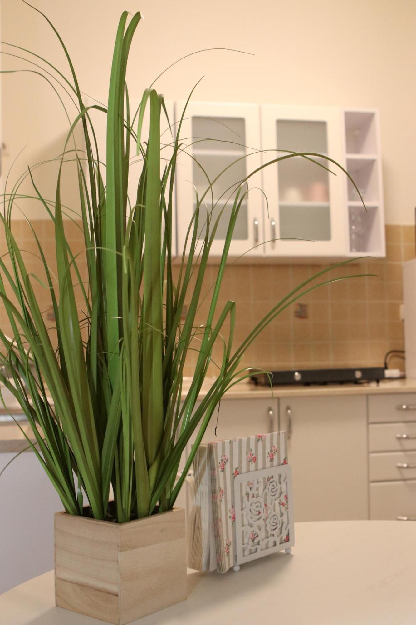Tulipan Apartman Gödöllő Dış mekan fotoğraf